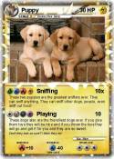 Puppy