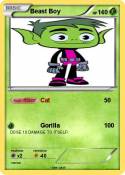 Beast Boy