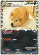Doge