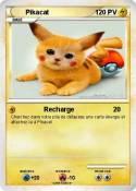 Pikacat