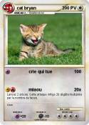 cat bryan
