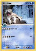 tigre blanc 