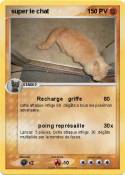 super le chat