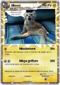 Miaou!
