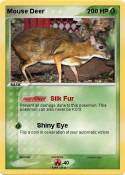 Mouse Deer