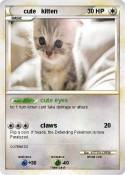 cute kitten