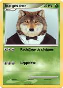 loup gris drôle