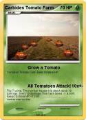 Carbides Tomato
