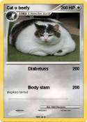 Cat o beefy