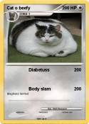 Cat o beefy