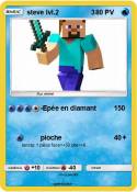 steve lvl.2