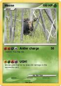 Moose