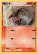 Kitty Cat