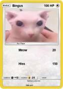 Bingus