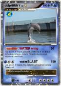 dolpHINNY