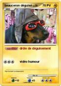 beauceron