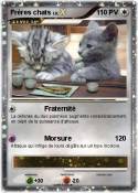 Frères chats