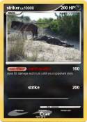 striker