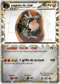 pagnée de chat