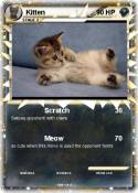 Kitten