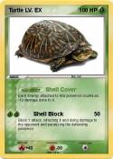 Turtle LV. EX