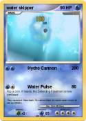 water skipper