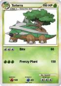 Torterra