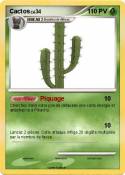 Cactos