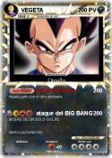 VEGETA