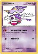 blaze the cat