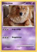 chow-chow