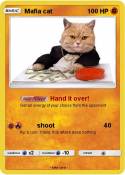 Mafia cat