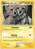 cheetah cub
