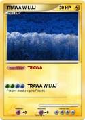 TRAWA W LUJ