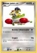 Bowser junior
