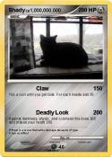 Shady