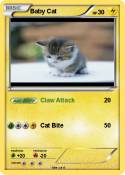 Baby Cat