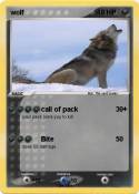 wolf