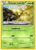ermerger turtle