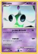 petit mino