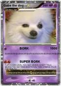 Gabe the dog