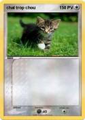 chat trop chou