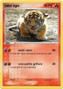 bébé tigre