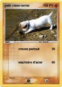 petit chien