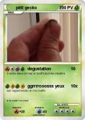 pitit gecko