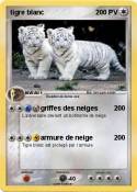 tigre blanc