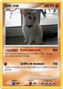 Petit chat