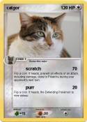 catgor