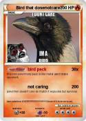 Bird that dosen