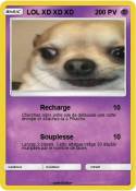 LOL XD XD XD